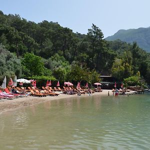 Delüks İki Kişilik Oda